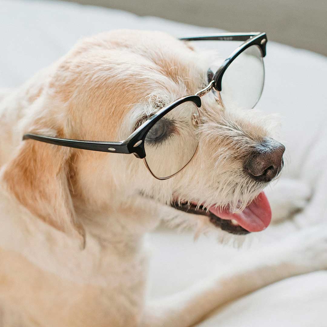 óculos de grau em acetato