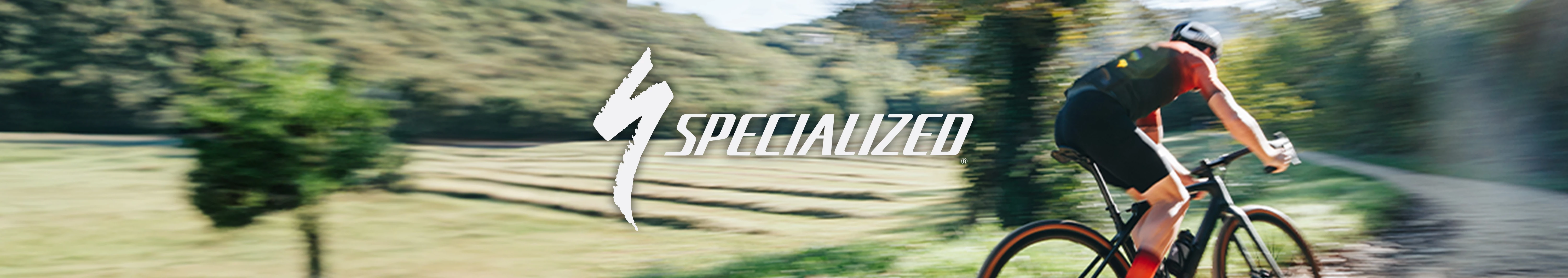 specialized