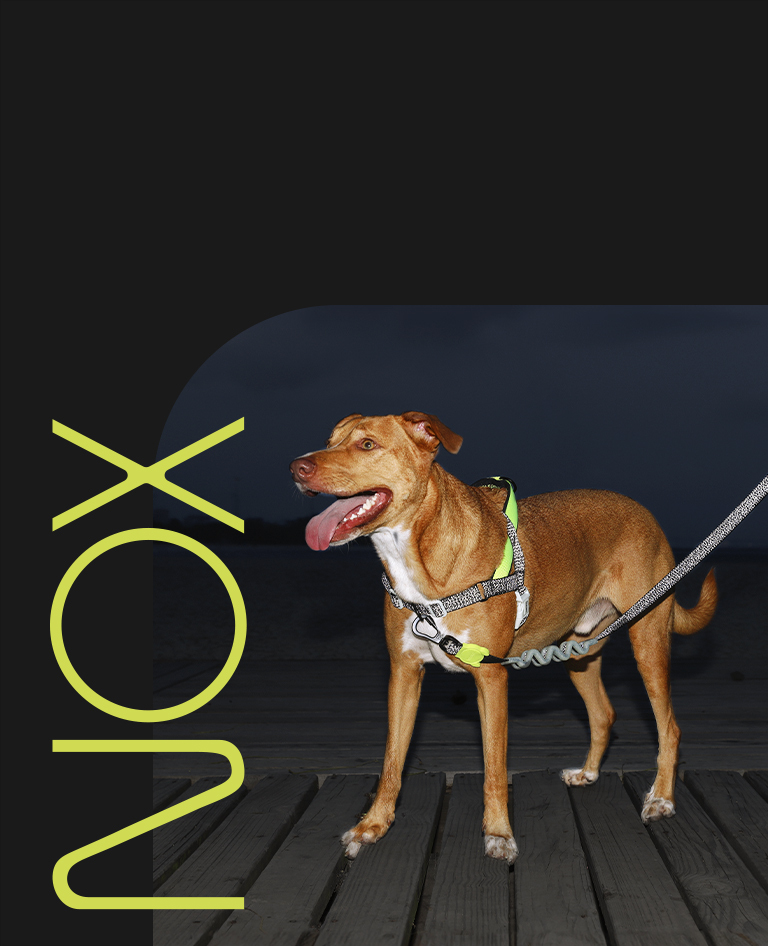NOX - Zee.Dog
