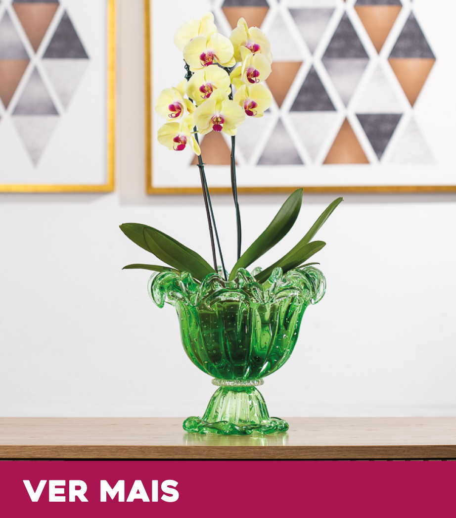 Vaso Paris de decoração em murano 