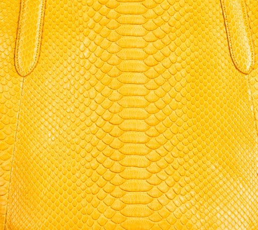 bolsa