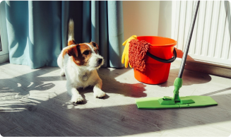 Um cachorro olhando para um vasoura