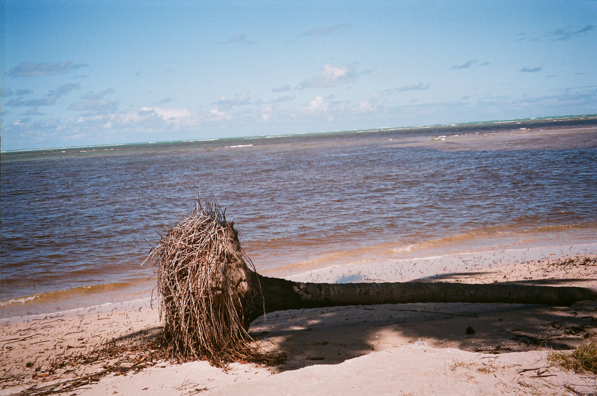 Carolina Calcavecchia Photo