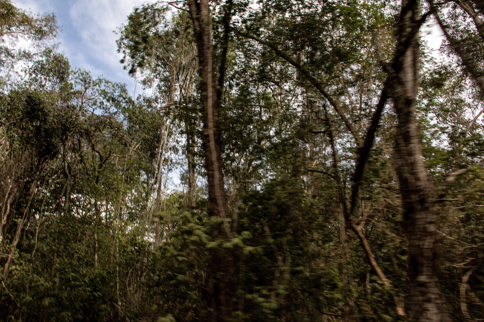 Carolina Calcavecchia Photo