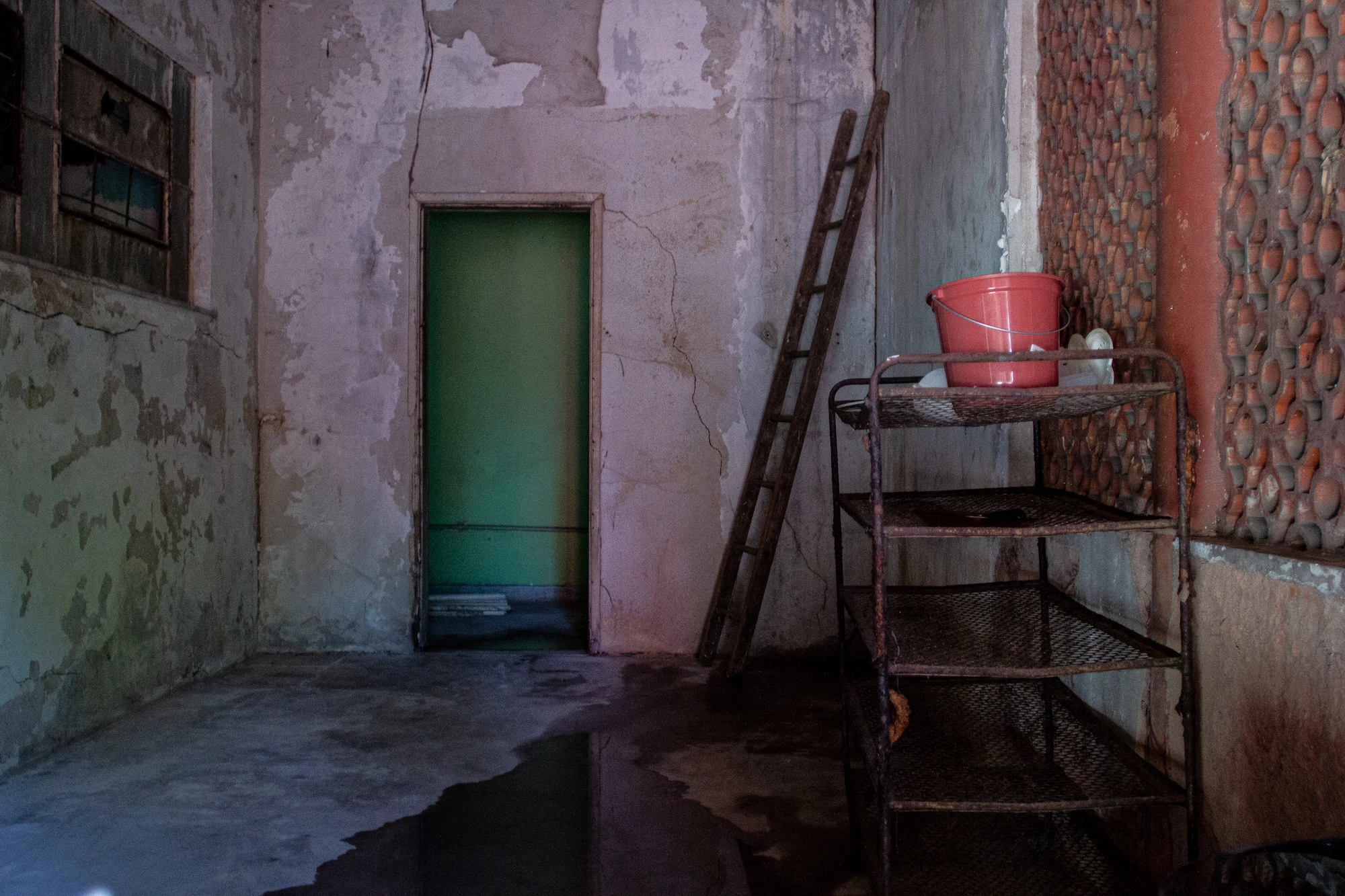 Carolina Calcavecchia Photo