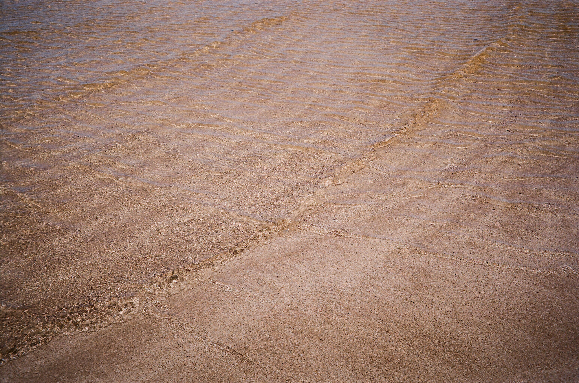 Carolina Calcavecchia Photo