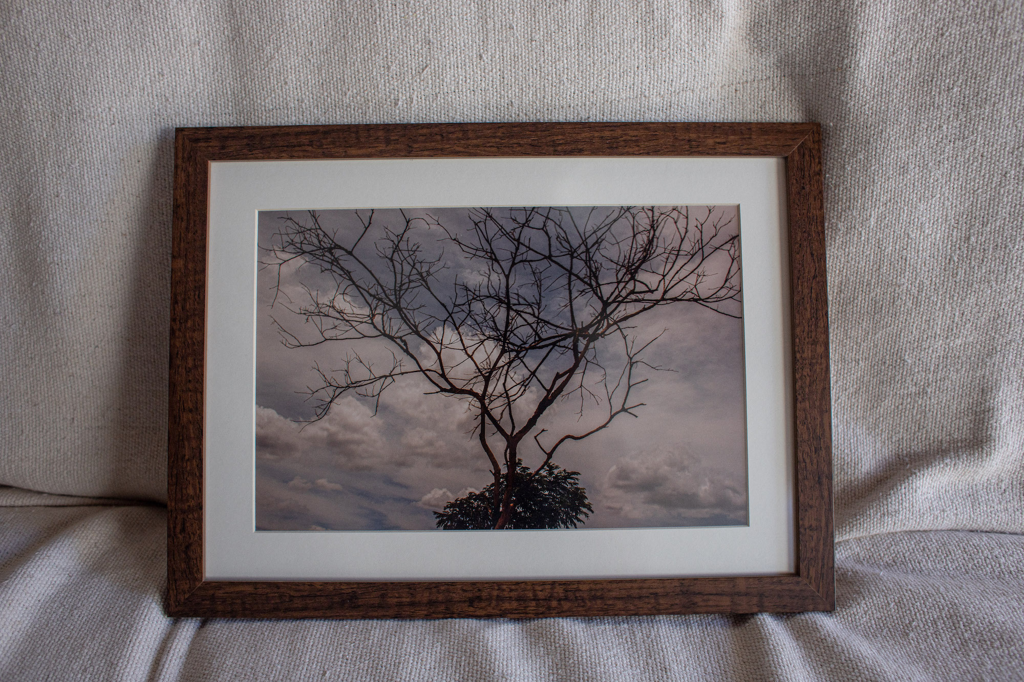 Carolina Calcavecchia Photo