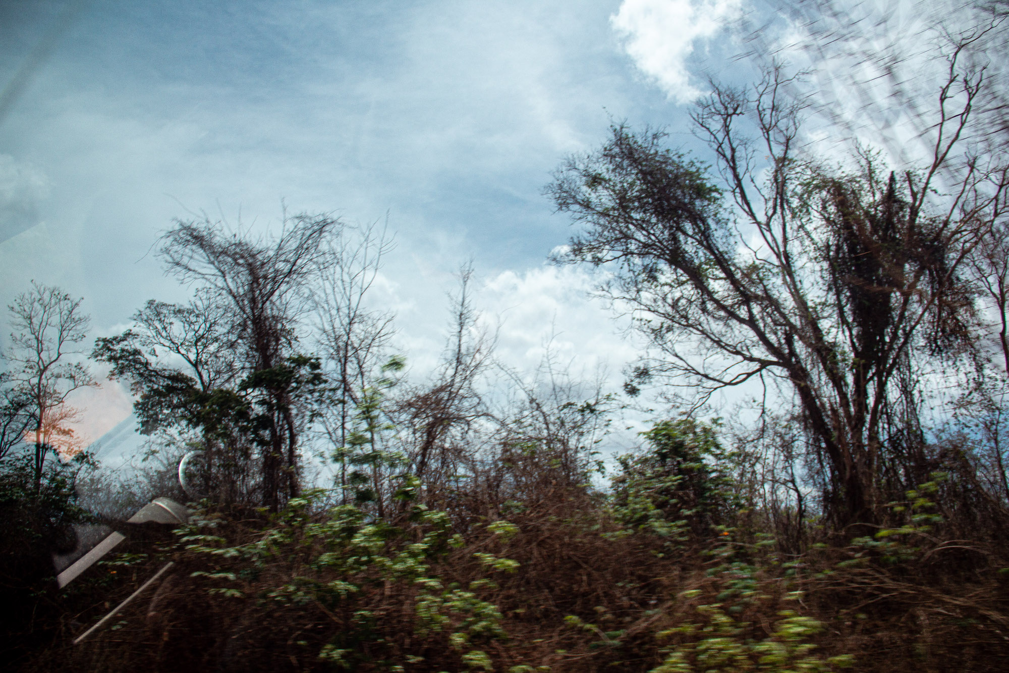 Carolina Calcavecchia Photo