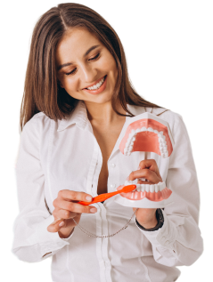 Mulher sorridente escovando um molde de arcada dentária
