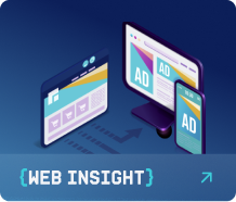 web insight