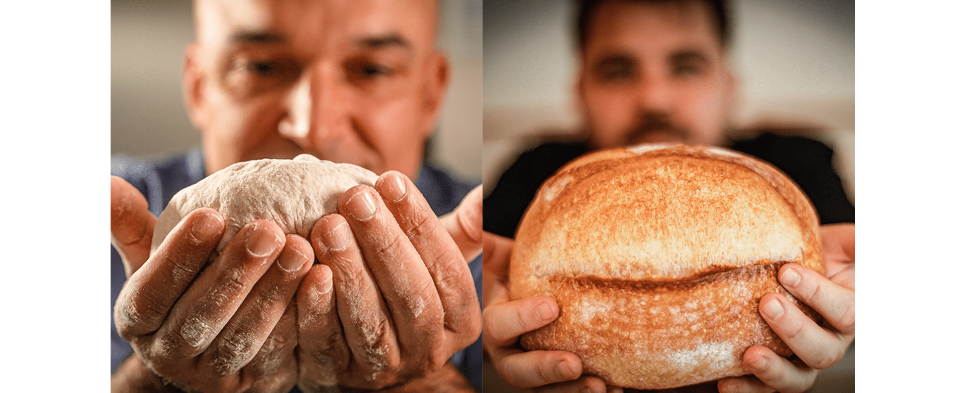 massa e pão Nema